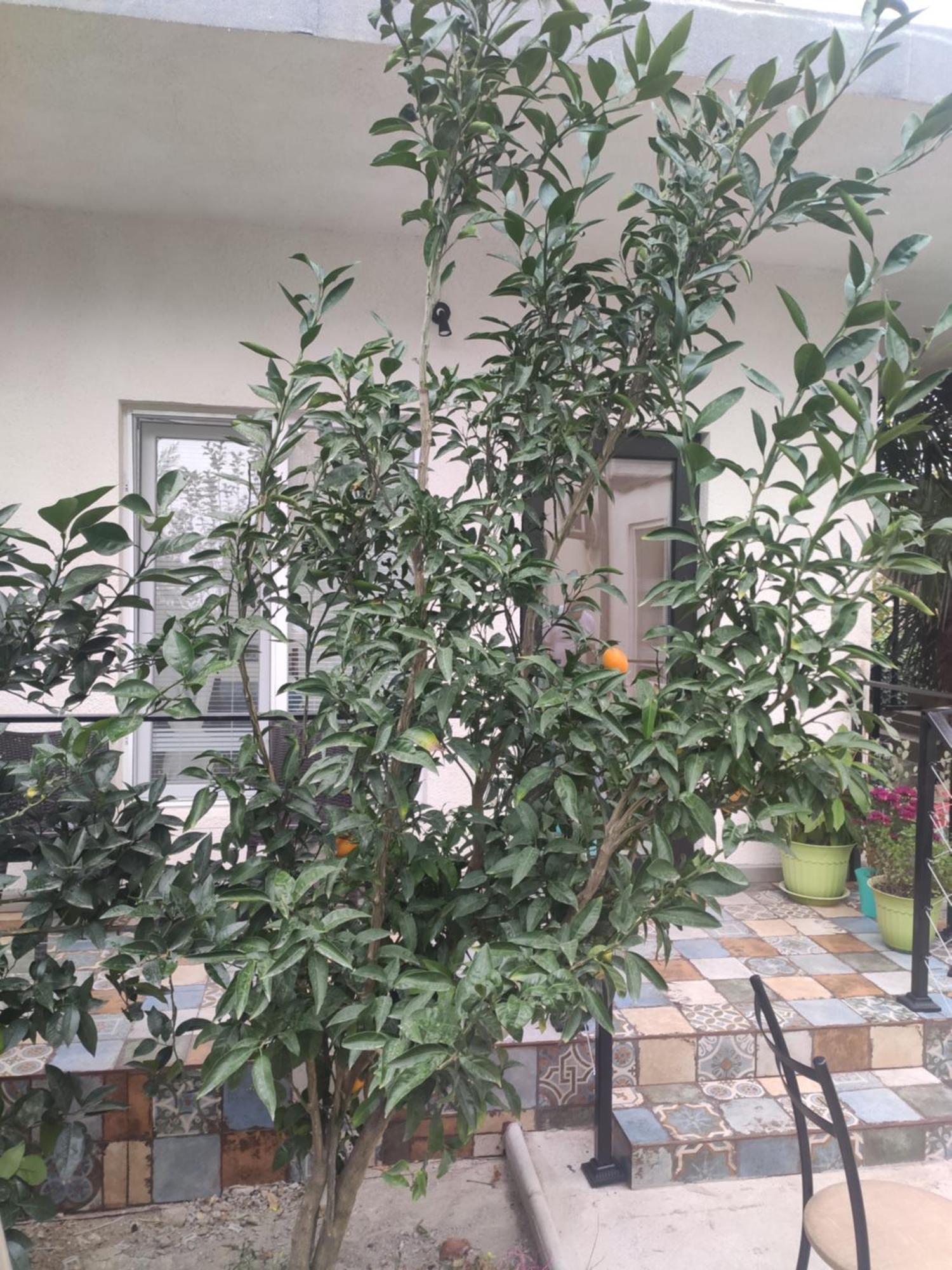 Family Нotel Banuri Koetaisi Buitenkant foto